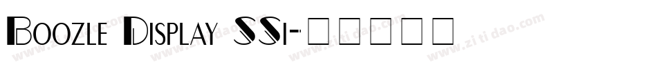 Boozle Display SSi字体转换